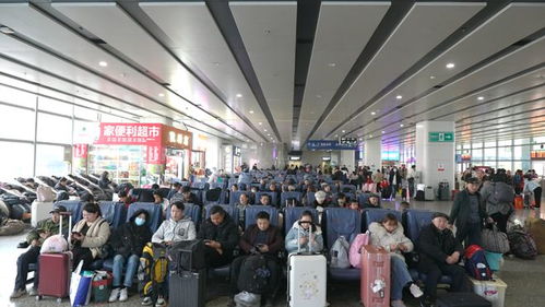 春運(yùn)進(jìn)行時(shí) 長(zhǎng)沙汽車西站客流量攀升，預(yù)計(jì)2月7日迎峰值